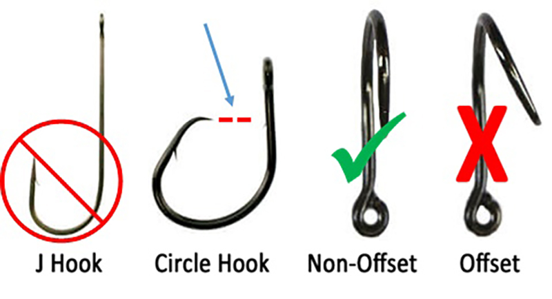 An image depicting how an non-offset circle hook is the best hook to catch striped bass with