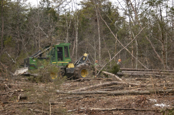 A construction vehicle engaging in a clear cutting of a forest to create habitat for deer