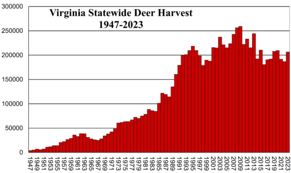 A graph showing Virginia's statewide deer harvest from 1947 until 2023