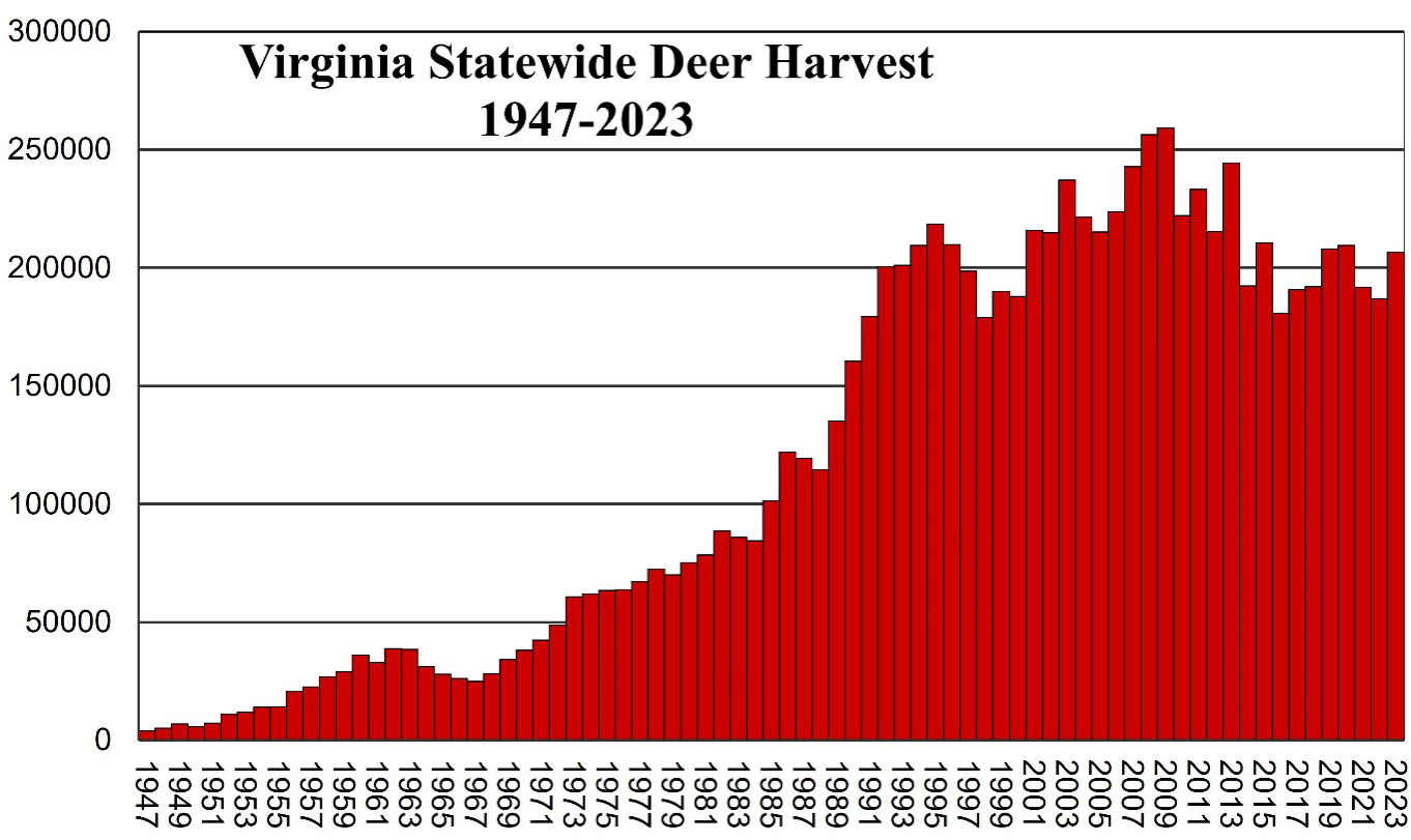 20232024 Deer Kill Summary Virginia DWR