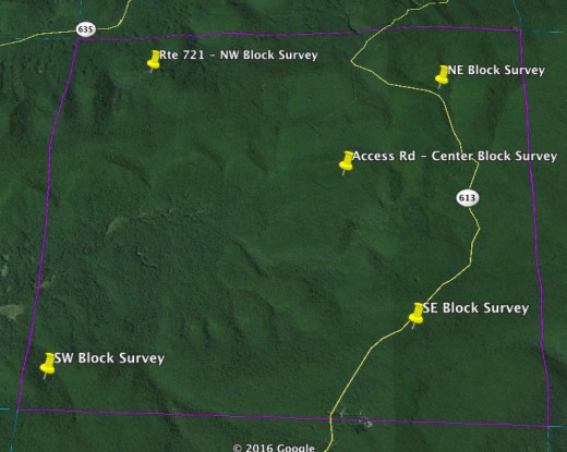 Figure 3. Interior SE Atlas Block.  Survey locations based primarily on accessibility.