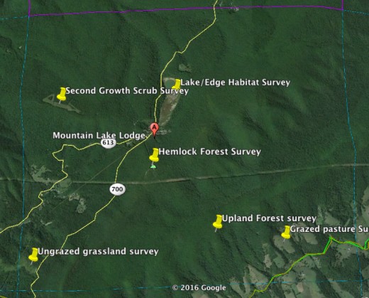 Figure 2. Eggleston NE Atlas Block. Note survey point locations based on habitat types.