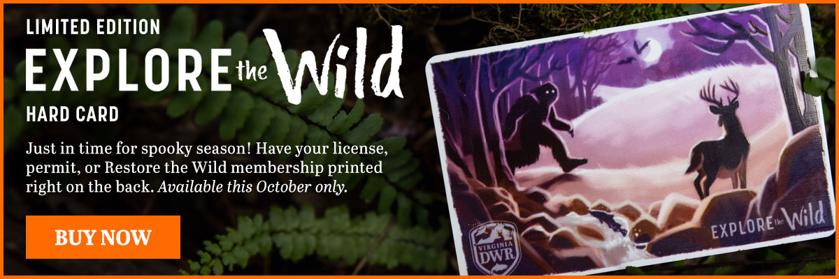 Just in time for spooky season! Get our limited edition Explore the Wild hard card. Available this October only. 