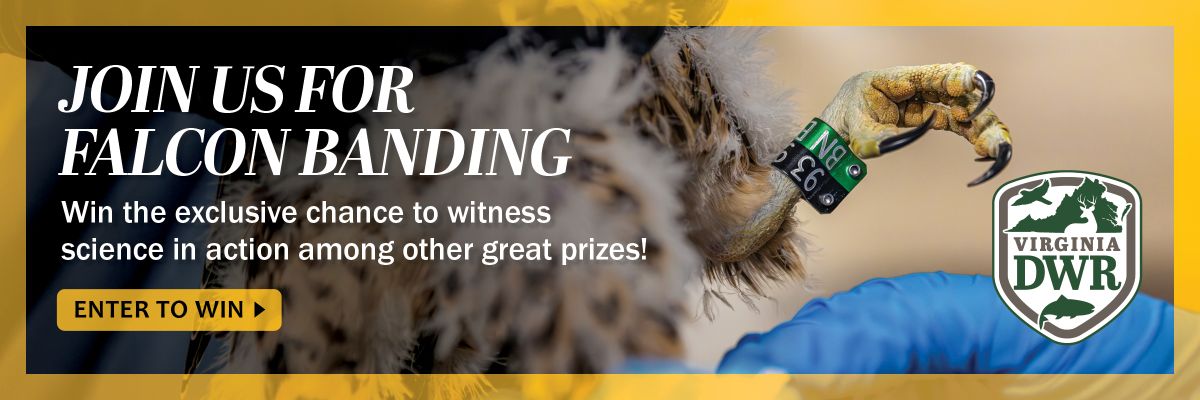 Join us for Falcon Banding Day! Win the exclusive chance to witness science in action among other great prizes! Enter to win.