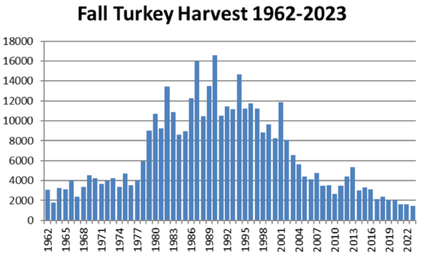 A graph showing Virginia's fall turkey harvest from 1962 until 2023