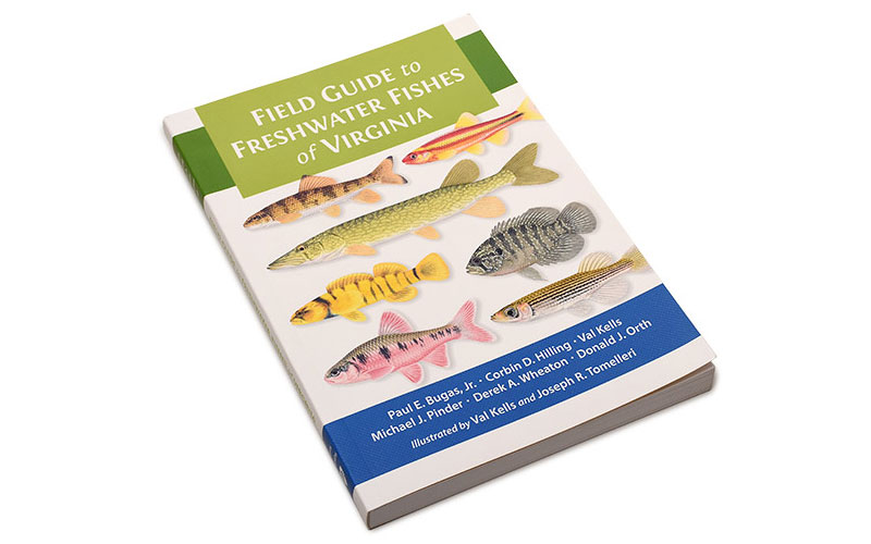 Field Guide to Freshwater Fishes of Virginia | Virginia DWR