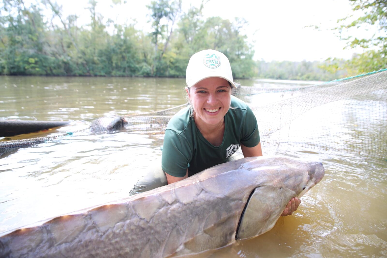 An image of the tidal fisheries biologist Margi Whitmore holding an Atlantic sturgeon in a river with a net in the background and the water is a orange-tan color.