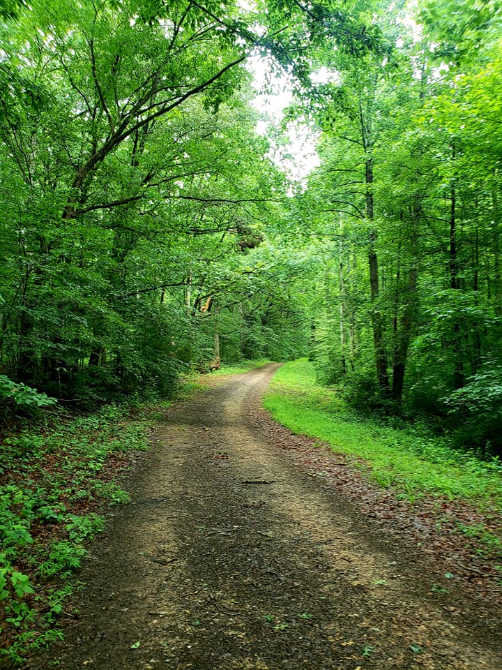 An image of a dirt road that accesses the Powhatan WMA
