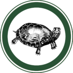 click to open link to turtle trot challenge