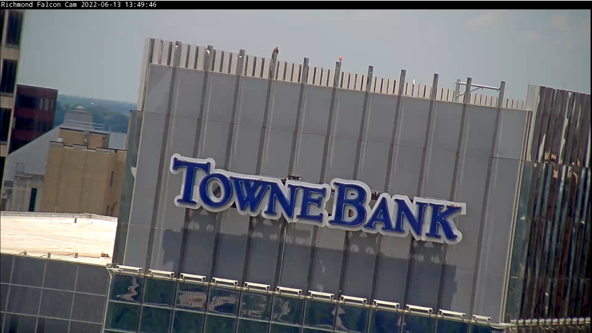 Red's same location atop Towne Bank as seen from the camera livestream.
