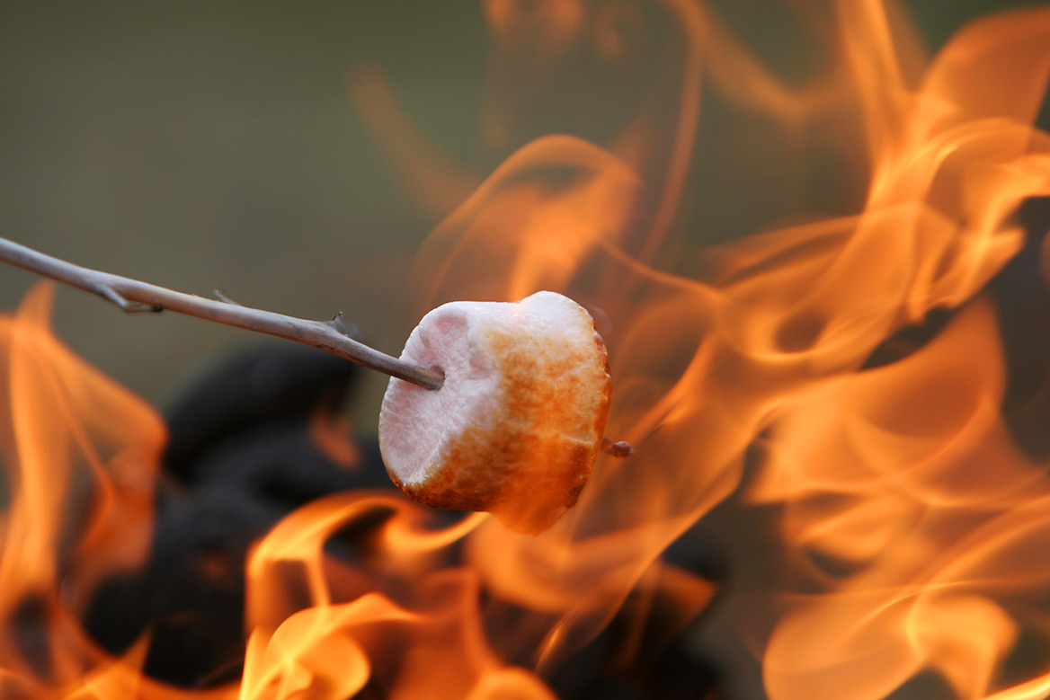 A slightly charred marshmallow on a stick is held in orange campfire flames.