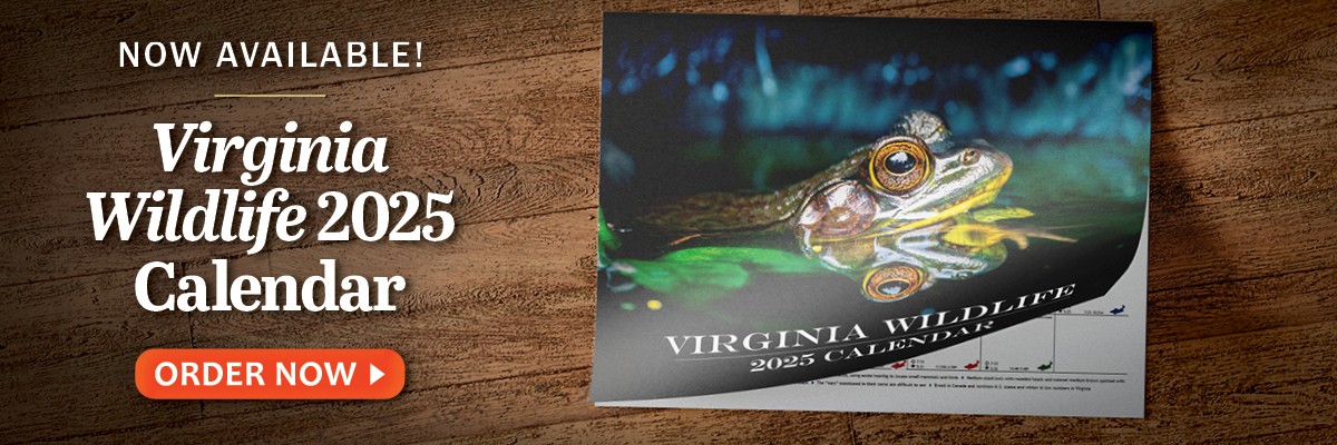 Order the 2025 Virginia Wildlife Calendar Today!