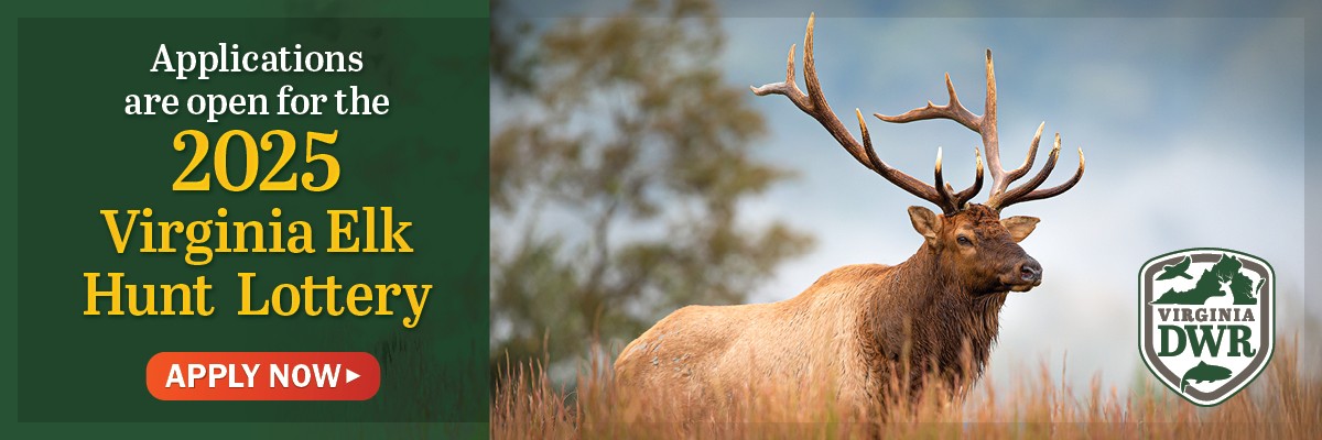 Applications are open for the 2025 Virginia Elk Hunt Lottery! 