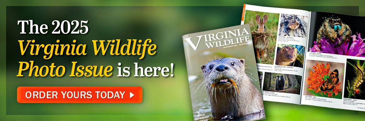 The 2025 Virginia Wildlife Photo Issue featuring an otter on its cover.