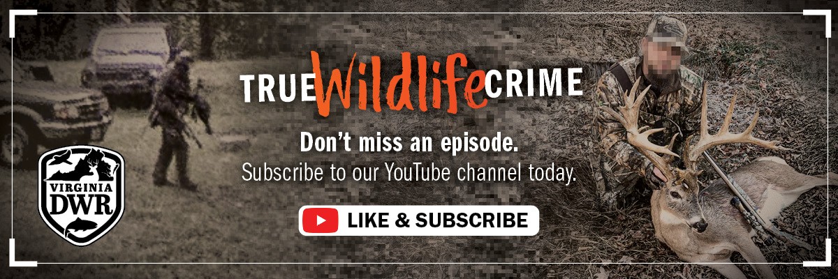 Don't miss an episode of True Wildlife Crime! Subscribe to our YouTube channel today. 