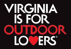 click to open link to Virginia is for lovers