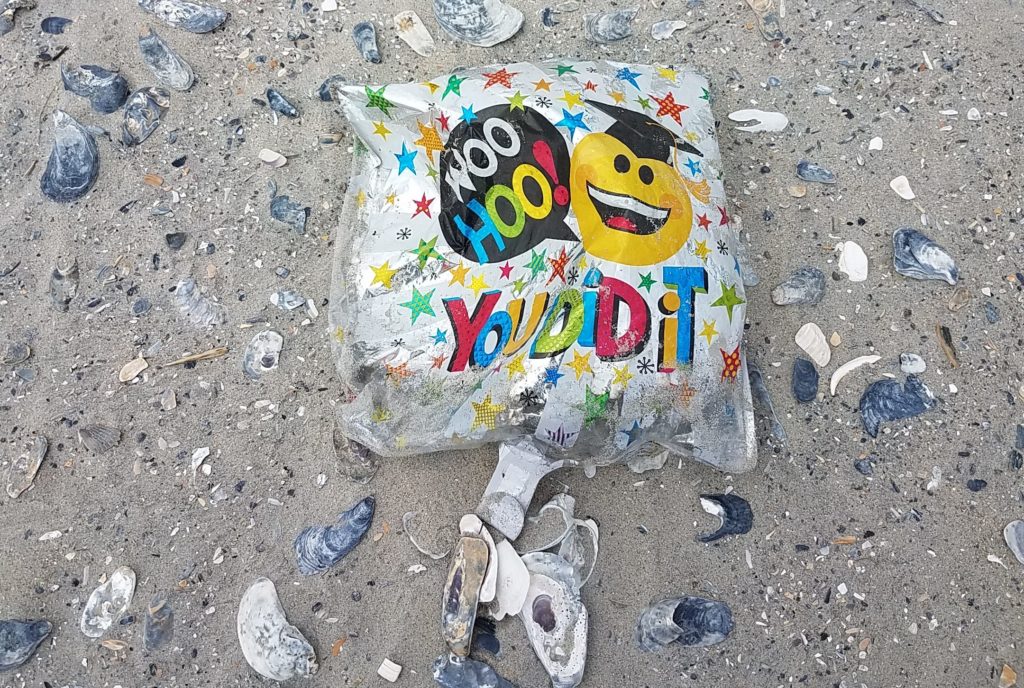 An image of a balloon found at the nesting site after it washed up on the beach