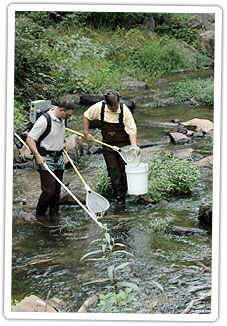 volunteer-fisheries-sampling